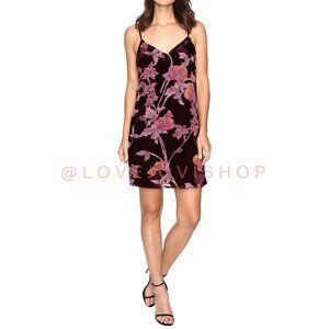 Whimsigoth | Brigitte Bailey Aubergine Floral Velvet Sheath Party Dress | Femme